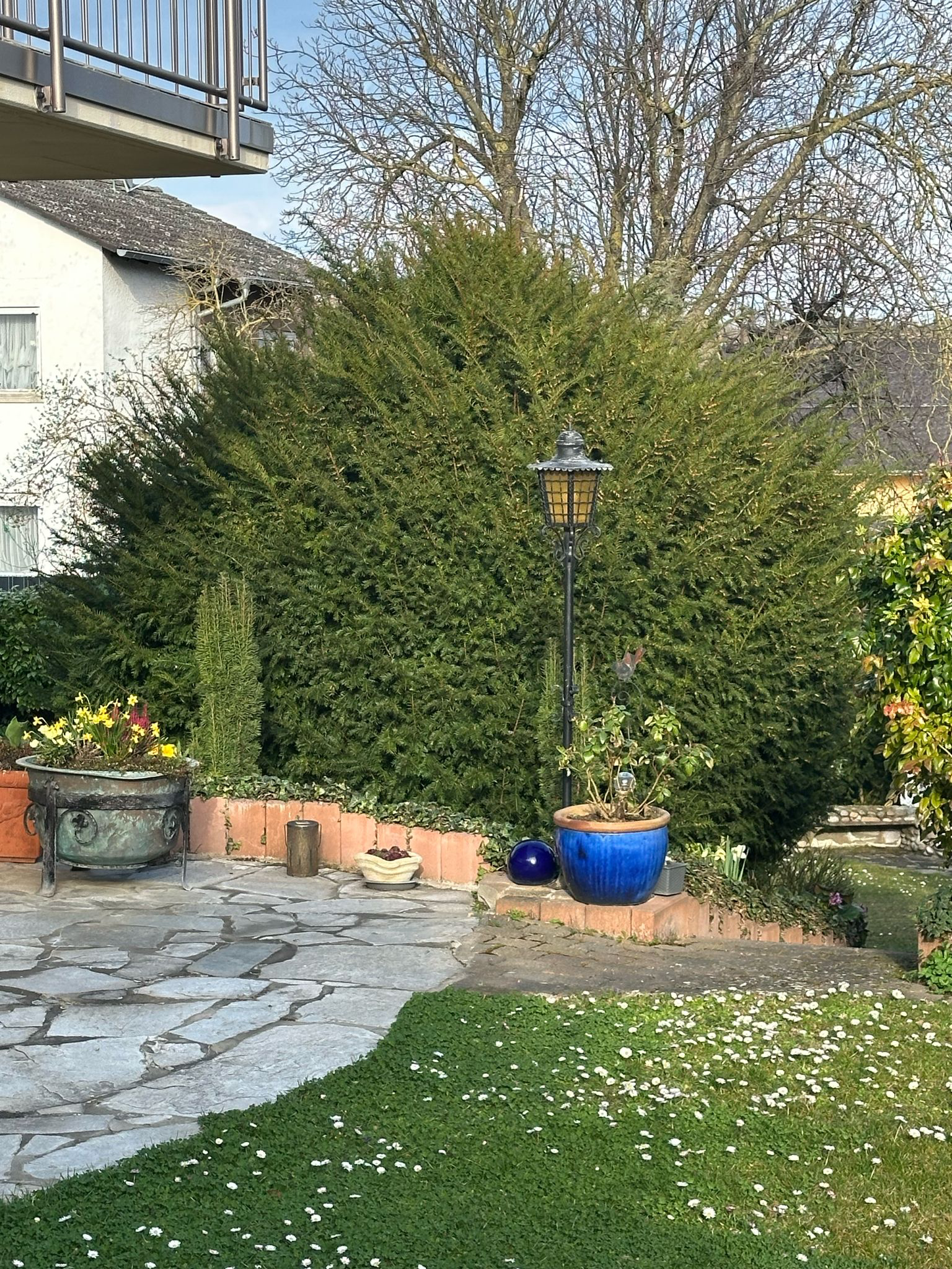 Vorher Garten